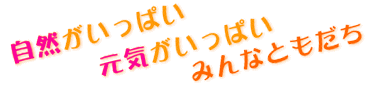���R�������ς��A���C�������ς��A�݂�ȗF�B